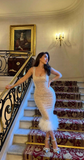 Niulatu Shimmer Sequins Evening Gown With Feathers Sheath Prom Dress HZ1007