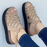 Niulatu 2025 New Shoes Pointed Toe Buckle Strap Women Sandals Ladies Sexy Slip On Thick Bottom Hollow Out Shoes Woman Footwear DJSE