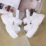 Niulatu Platform Sandals Women 2025 High Heels Sexy Open-toed Sandals Wedge Increased Shoes Ladies Beach Summer Sandalia DJSE