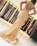 Niulatu Sleeveless Mermaid Evening Dress Lace HZ1007