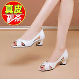Niulatu Women Dress Shoes Peep Toe Office Work Shoes Medium Heels Pumps Open Toe Woman Sandals Black zapatos mujer 8127N DJSE