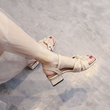 Niulatu Women Sandals Designer Shoe Outdoor Fairy Office Lady Style Skirt Luxury High Heels DJSE