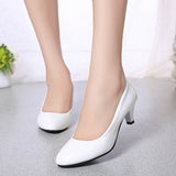 Niulatu Pumps Nude Shallow Mouth Women Shoes Fashion Office Work Wedding Party Shoes Ladies Low Heel Shoes Woman Autumn DJSE