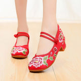 Niulatu Women All-match Embroidered Shoes Ladies Dance Wedding Shoes Ethnic Style Hanfu Mid-heel Pumps DJSE