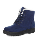 Niulatu Women Boots 2025 New Women Winter Boots Warm Snow Boots Fashion Ankle Boots For Women Shoes Winter Casual Heels Botas Mujer DJSE