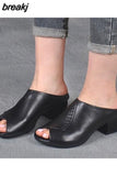 Niulatu Women Sandals Women Heels Sandals 2025 Elegant Woman Shoes With Low Heels Zapatos Mujer Summer Sandals Women Mules Ladies Shoes DJSE
