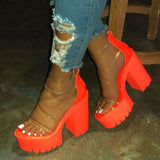 Niulatu Club Party Platform Chunky Heel Sandals Summer Plus Size Shoes Transparent Gladiator Heel Sandals Shoes Women DJSE