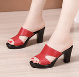 Niulatu Size 32-43 High Heels Slippers Women Platform Shoes Summer 2025 Block Heel Leather Slides Ladies Office Slippers DJSE