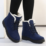 Niulatu Women Boots 2025 New Women Winter Boots Warm Snow Boots Fashion Ankle Boots For Women Shoes Winter Casual Heels Botas Mujer DJSE