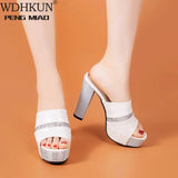 Niulatu Open Toe Ankle Strap Women Sandals Sexy High Heels Lady Shoes Buckle 12.5cm Low Heel Summer Sandals DJSE