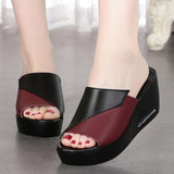 Niulatu Flops 2025 Women Beach Wedges Slippers Summer Gladiator Sandals Women Casual Shoes Woman Platform Flip Flops DJSE