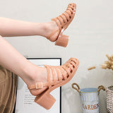 Niulatu Women's Jelly Sandals Woman Summer Hollow Out Shoes Women Buckle Mid Heels Ladies Footwear Female Outside Beach Slides DJSE