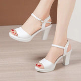 Niulatu Sexy Peep Toe Ladies Summer Shoes For Dress Women Wedge Heel Sandals High Heel Woman 2025 New Female Platform Sandals DJSE