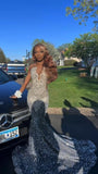 Niulatu Silver Sequins Long Prom Dress Mermaid Evening Dress HZ1007