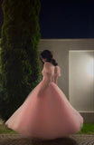 Niulatu A Line Short Sleeves Pink Tulle Long Prom Dresses Formal Evening Dress SD1415
