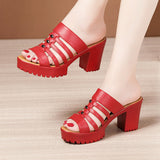 Niulatu 32-43 Summer Wedding Shoes Women Slippers Platform 2025 High Heels Slides Ladies Gladiator Shoes Office Slippers DJSE