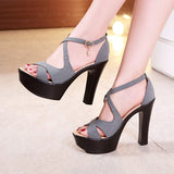 Niulatu 32-43 Block High Heels Gladiator Sandals Women Shoes Suede 2025 Summer Sexy Platform Shoes for Office Dance Model DJSE