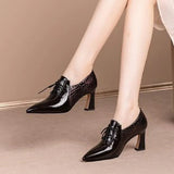 Niulatu Fashion Ladies Shoes 2025 Spring and Autumn New British Style Thick Heels All-match Temperament Small Leather Shoes DJSE