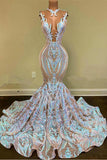Niulatu Sparkly Long Mermaid Glitter Floral Lace Prom HZ1007