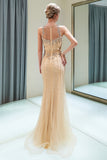 Niulatu Long Mermaid Jewel Tulle Evening HZ1007