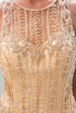 Niulatu Long Mermaid Jewel Tulle Evening HZ1007