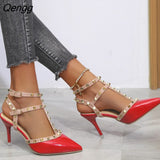 Niulatu Party Women Shoes for Women's Pumps Rivet Heel Sandals Women's 2025 Spring Pointed Thin Heel Single Shoes High Heels DJSE