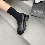Niulatu Toe Street Style Chunky Heel Platform Women Loafers Shoes Black Punk Y2K Designer High Heel Women Pumps 1116 DJSE