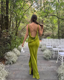 Niulatu Backless Print Long Prom Dress Elegant Evening Dress Party Gown HZ1007