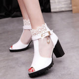 Niulatu Summer Mesh Peep Toe Sandals Sexy Heels Single Shoes Lace Pumps Woman High Heel Fashion Women Shoes Platform Ladies DJSE