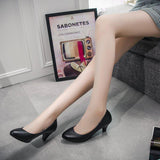 Niulatu Leather Low Heels Shoes Women Professional Shoes Ladies Shallow Mouth Work Shoes Elegant Ladies Office Shoes DJSE