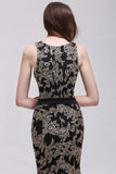 Niulatu Sheath Round Neck Lace Evening HZ1007