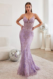 Niulatu Long Corset Prom HZ1007
