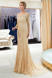 Niulatu Mermaid Sequins Formal Evening Dresses with HZ1007