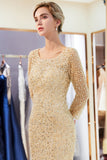 Niulatu Mermaid Sequins Formal Evening Dresses with HZ1007