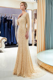 Niulatu Mermaid Sequins Formal Evening Dresses with HZ1007