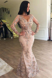 Niulatu V-neck Long Sleeves Appliqued Prom Dresses with Detachable HZ1007