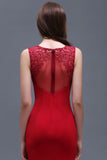 Niulatu Round Neck Applique Floor-Length Burgundy Prom HZ1007