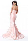Niulatu Taffeta Long Mermaid Dress With HZ1007