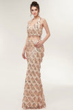 Niulatu Halter Mermaid Long Sequined Patterns Champagne Prom HZ1007