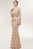 Niulatu Halter Mermaid Long Sequined Patterns Champagne Prom HZ1007